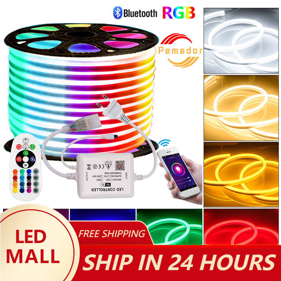 Best price Pemedor 220V Bluetooth Neon RGB LED Neon Strip Light Smart ...