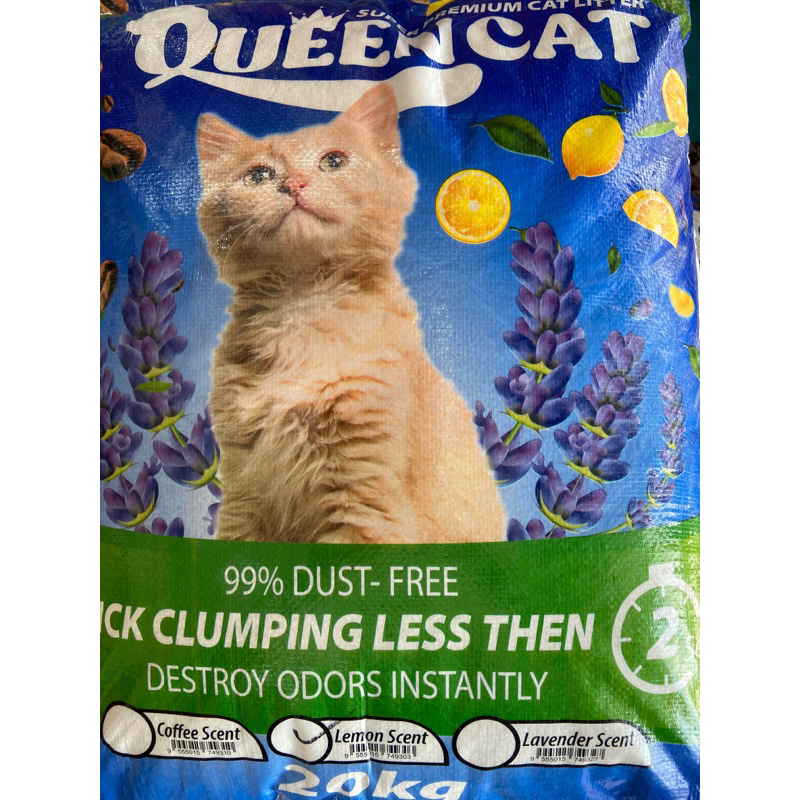 Coshida cat outlet litter