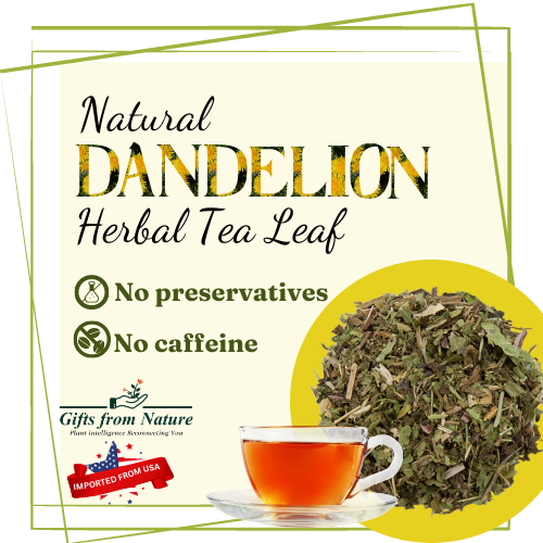 Natural Dandelion Herbal Tea Leaf Shopee Malaysia
