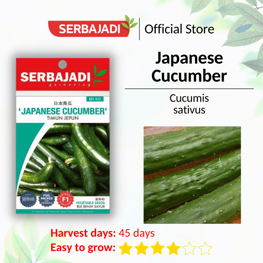 Serbajadi Vegetable Seed Japanese Cucumber/ Biji Benih Sayur Timun ...