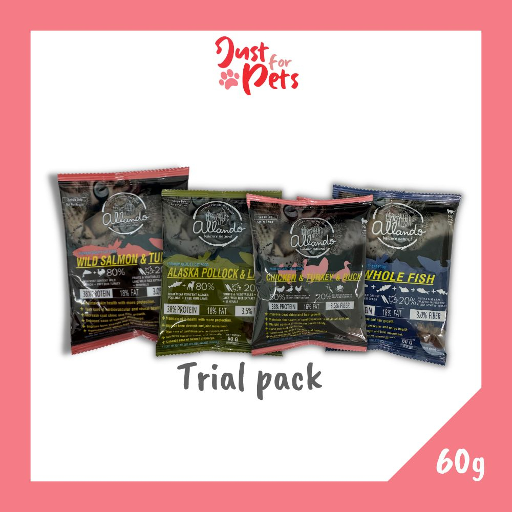 Allando Cat Food Trial Pack 60g (random flavor) Shopee Malaysia