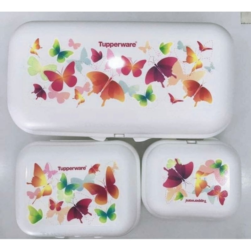 Tupperware Butterfly Collection Oyster (1) | Shopee Malaysia