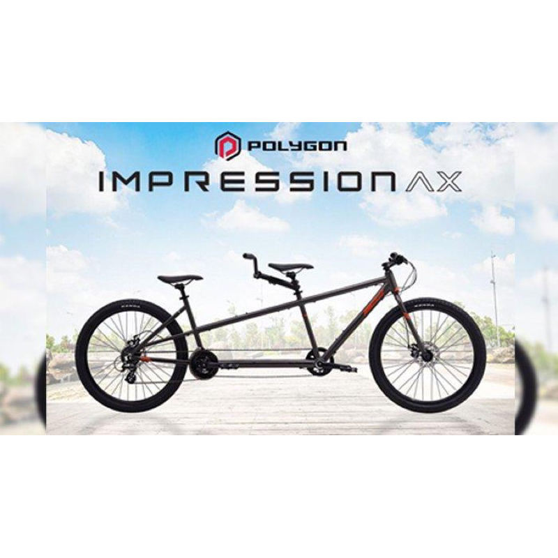 Polygon Impression AX Tendem Bike(Ready stock) | Shopee Malaysia