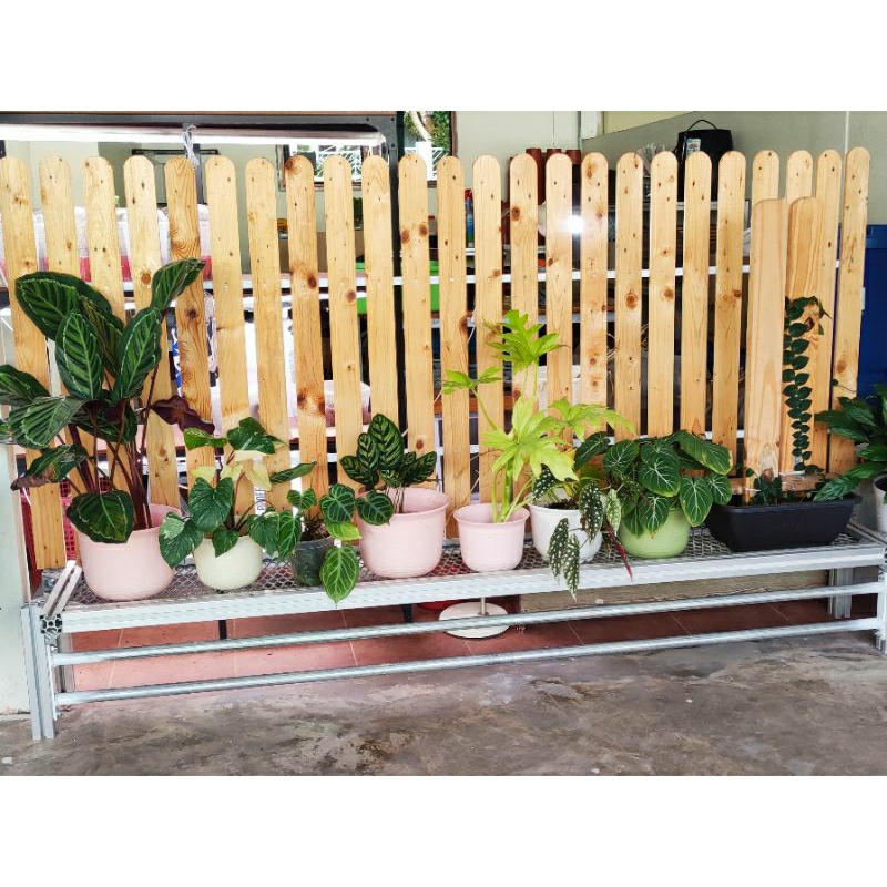 Aluminium flower rack with wood fencing partition planter garden indoor ...