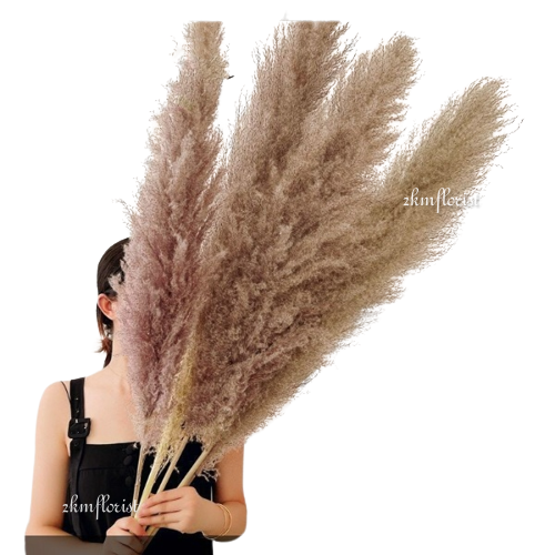 PAMPAS EXTRA LONG Flurry Real Fluffy Dried Flower Natural Pampas Grass ...