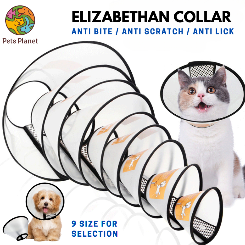 Pet elizabethan clearance collar