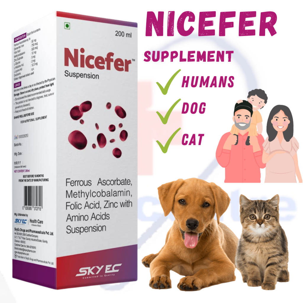 Nicefer Suspension Syrup Amino Acid Anemia Management Iron Supplement