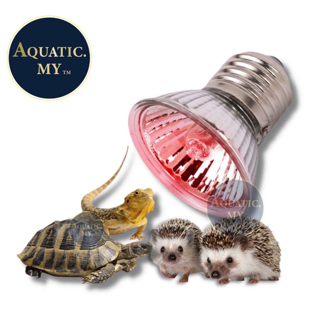 Tortoise Heating Lamp Turtle Basking Light Uva+Uvb 3.0(75w)/乌龟晒背灯