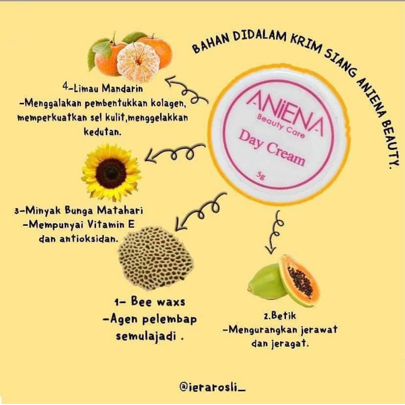 KRIM KRIM SIANG visual data 4