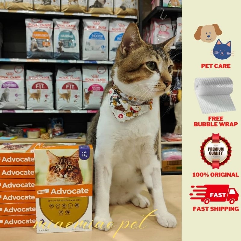 Advocate purple sales for large cat