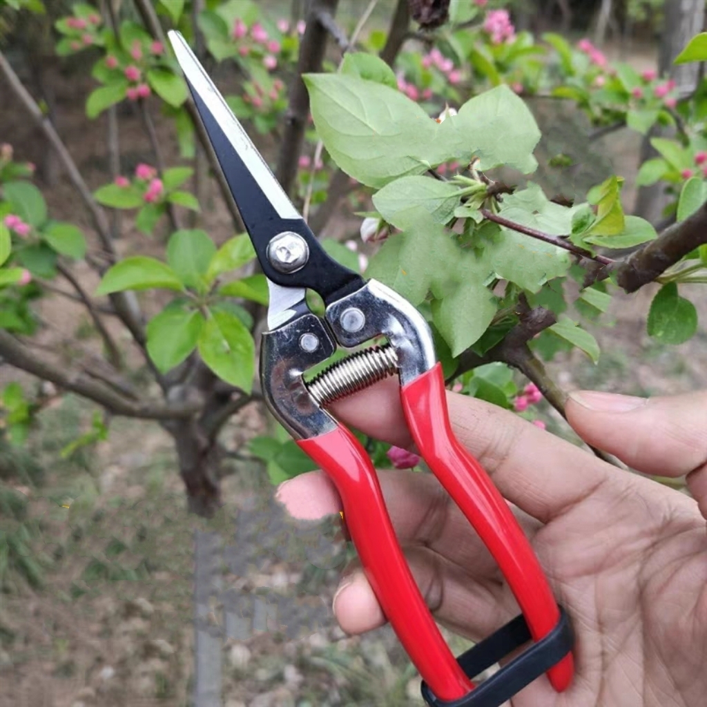 Lightweight deals garden shears