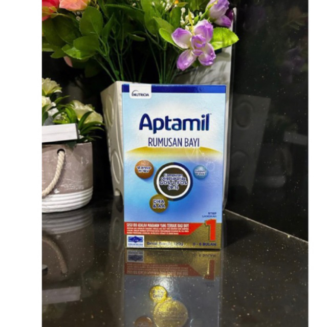 Aptamil 06 (120g/box ,24 boxes per carton) Shopee Malaysia
