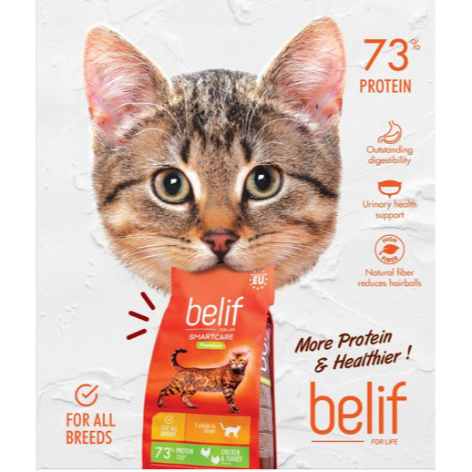 Belif 2024 cat food