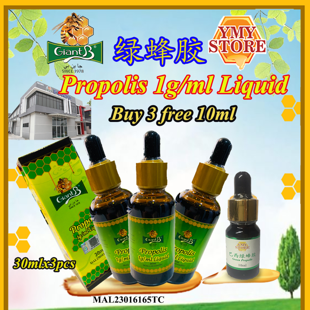 YMY Store Giant B Propolis 1g/ml Liquid (Green Propolis) 绿色蜂胶 30ml (Buy ...