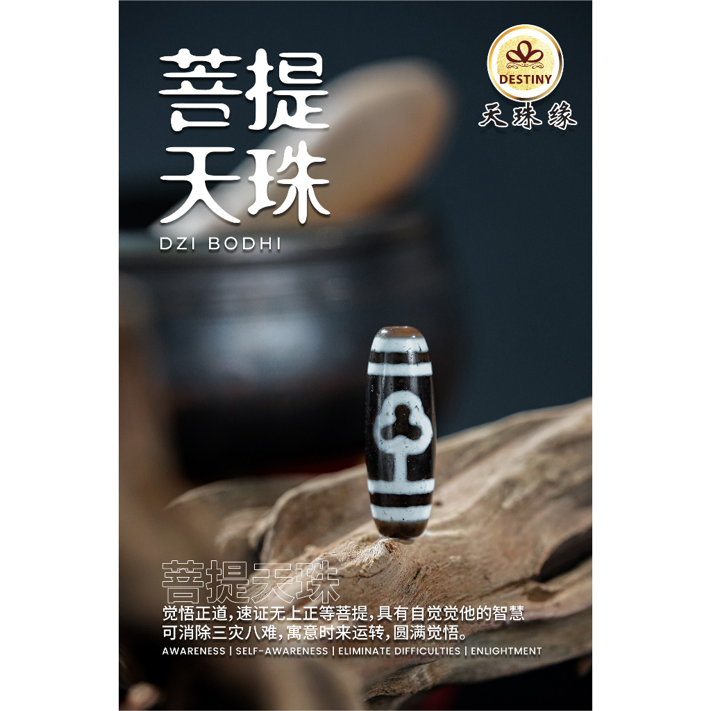 菩提天珠BODDHI DZI 西藏老天珠ANTIQUE DZI WISDOM AWARENESS DZI手链