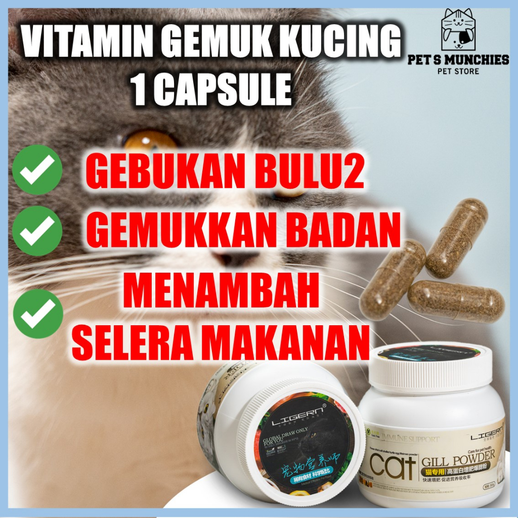 Cat Sticks Makanan Basah Kucing Vitamin Gemuk Kucing Creamy Cat Treats Cat Snacks Makanan Kucing