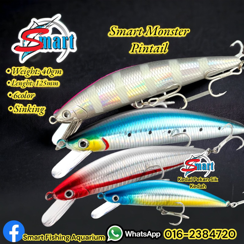 Smart Monster PINTAIL HEAVY SINKING MINNOW PINTAIL 40G / Semacam ...