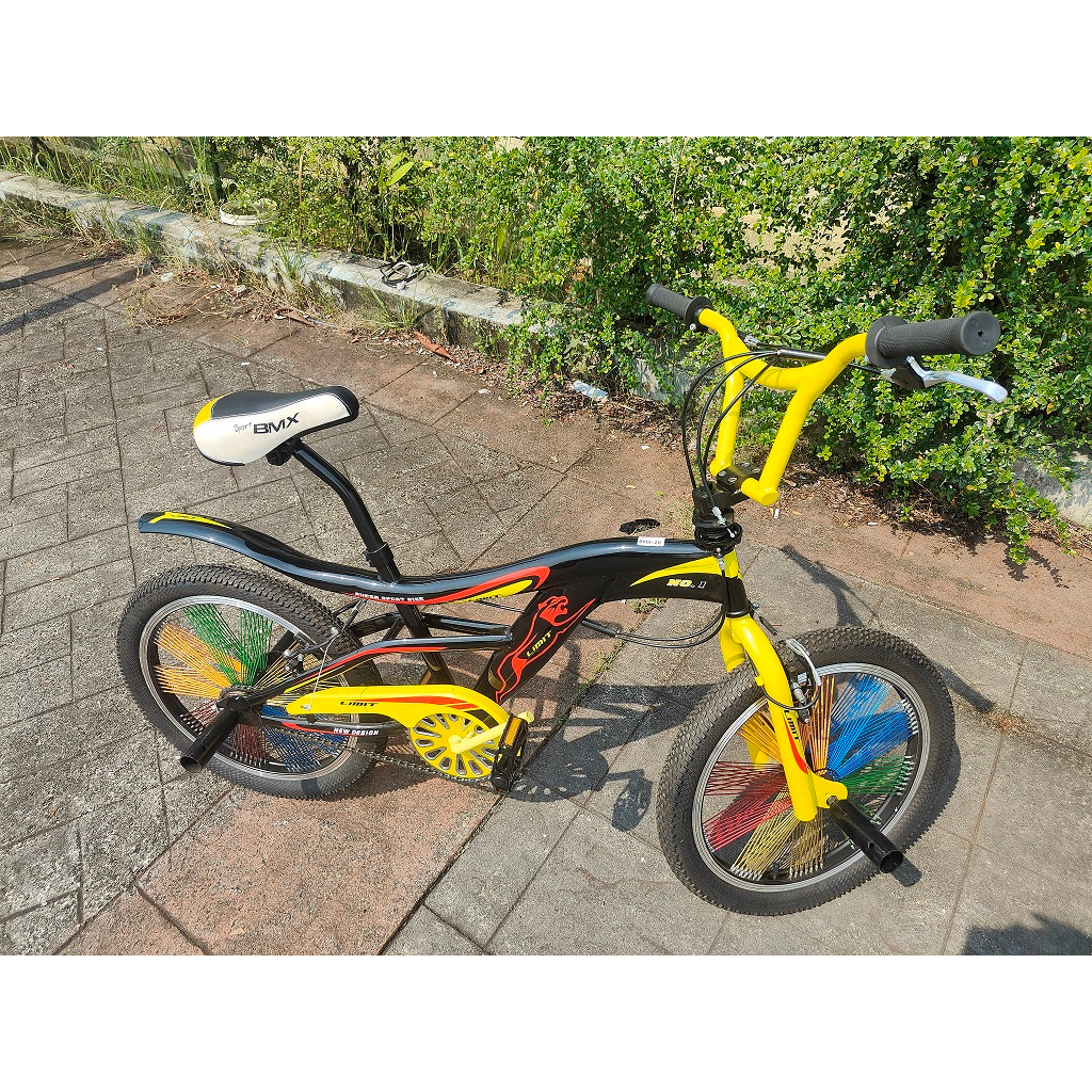 Brand New MBX Quality Bicycle 20 inch | Shopee Malaysia