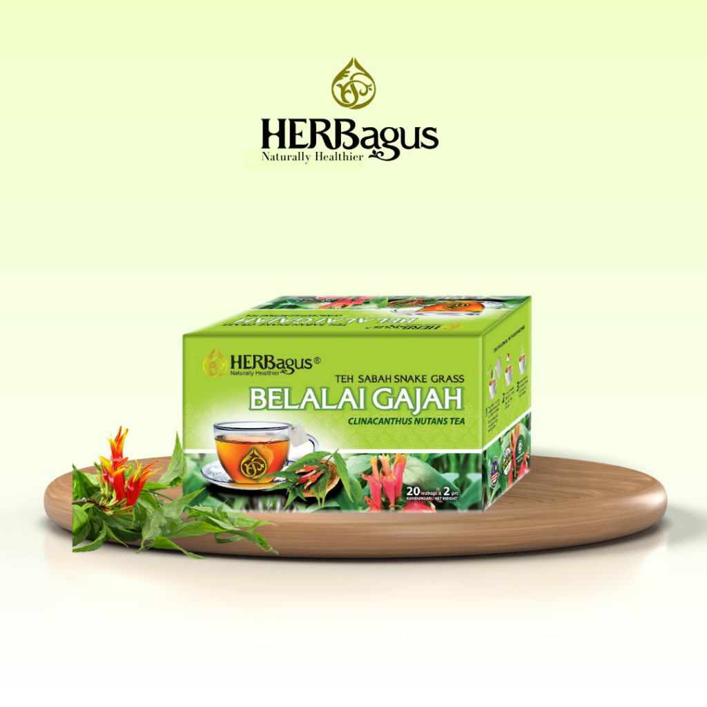 SABAH SNAKEGRASS TEA HERBagus Natural Healthier | Shopee Malaysia