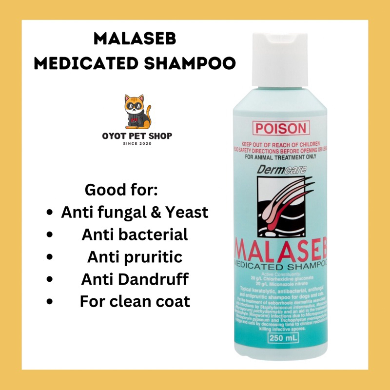 Malaseb Dermcare Shampoo 250ml Cat Kucing Dog Shopee Malaysia