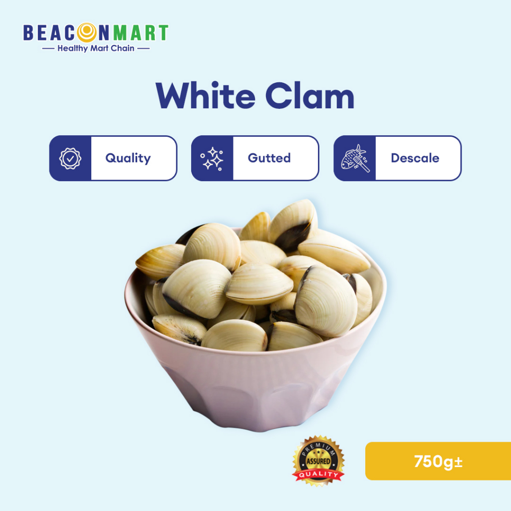 Beacon Mart White Clam Sabah Seafood Wild Caught Rich In Vitamin B12