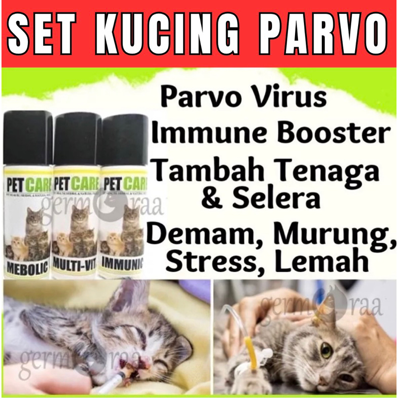 Ubat Parvo Kucing Parvo Virus Demam Murung Monyok Stress Immune Booster