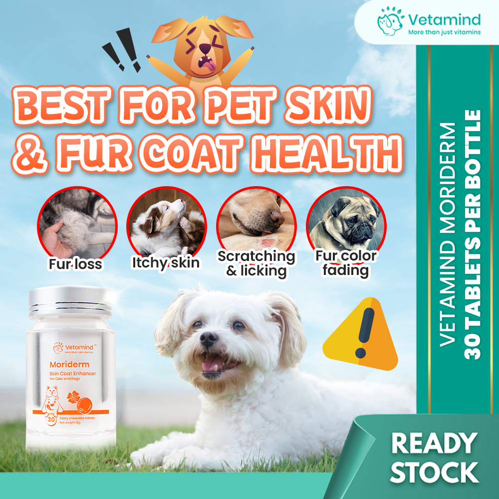 Vetamind MoriDerm Moringa Probiotics Skin Coat Enhancer Cat Dog