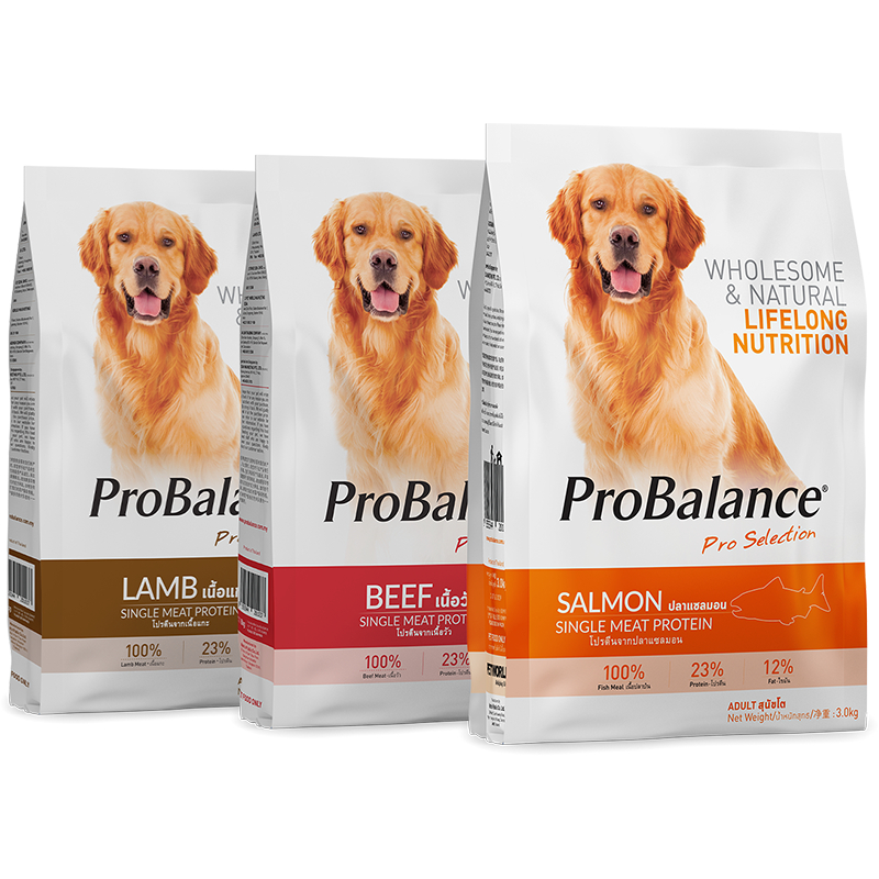 ProBalance 3.2kg/3kg/2.7kg Single Source Adult Dry Dog Food Beef ...