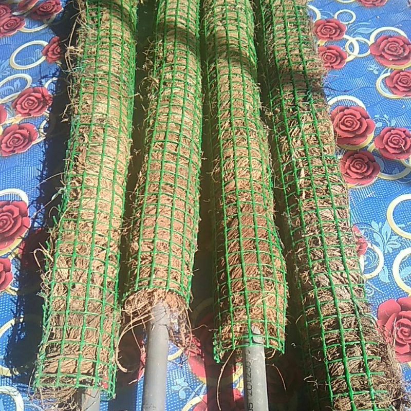 Coco stick fiber sabut kelapa. | Shopee Malaysia