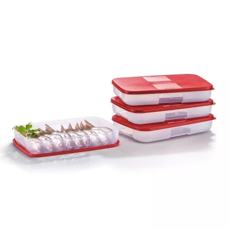 Tupperware Freezermate Medium I 550ml (2pcs) | Shopee Malaysia