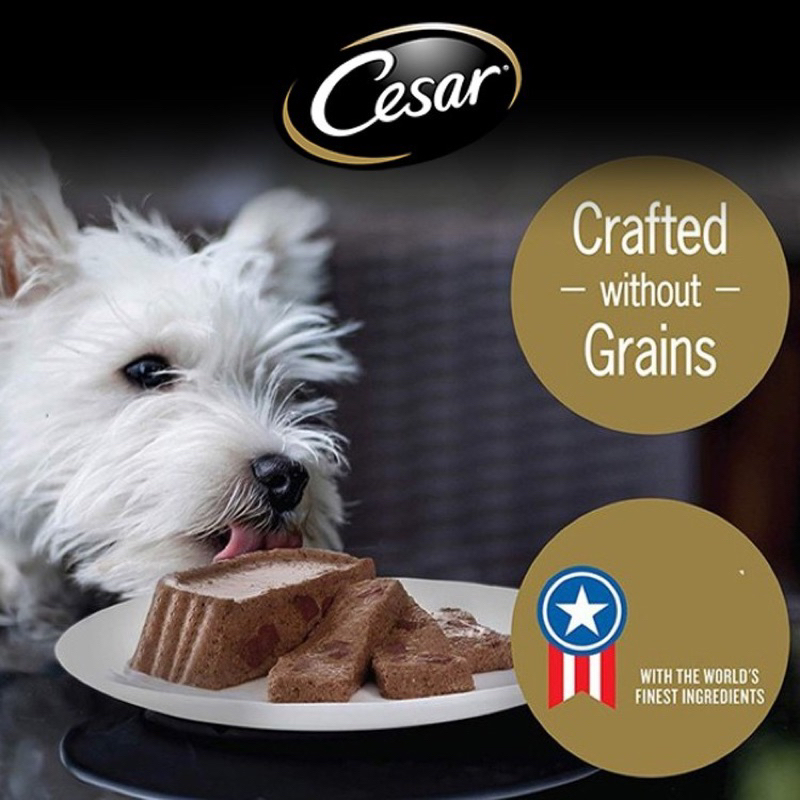Cesar Dog Can Food 100g | Shopee Malaysia