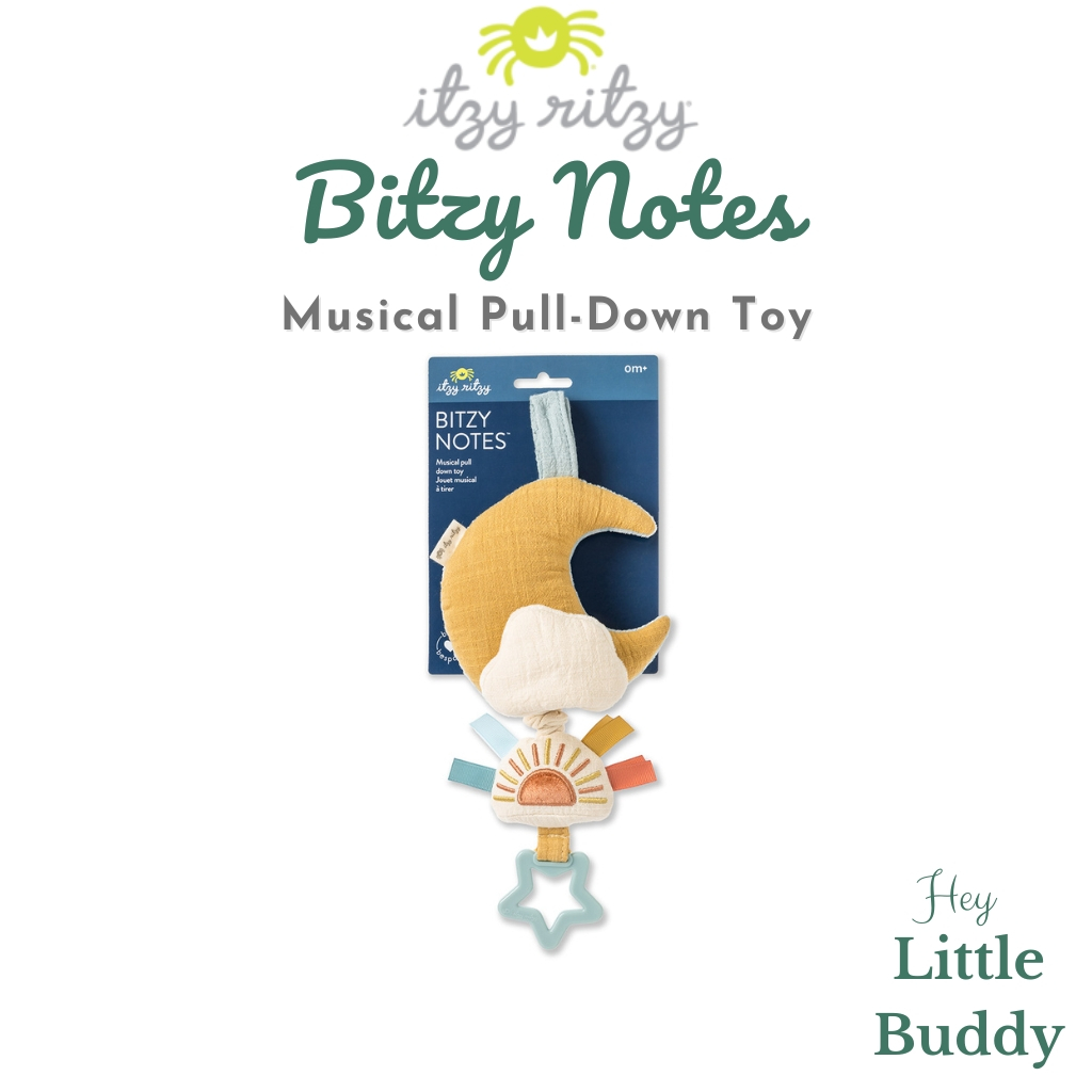 Itzy Ritzy Baby Musical Pull-Down Toy Bitzy Notes Car Seat Stroller ...