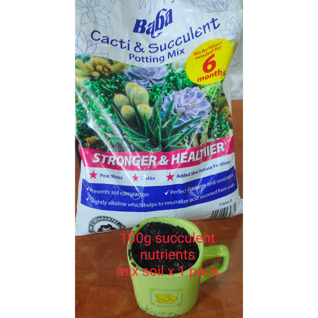 Colorful pot, 100 g Succulent Nutrients Mix Soil for Lithops Shopee