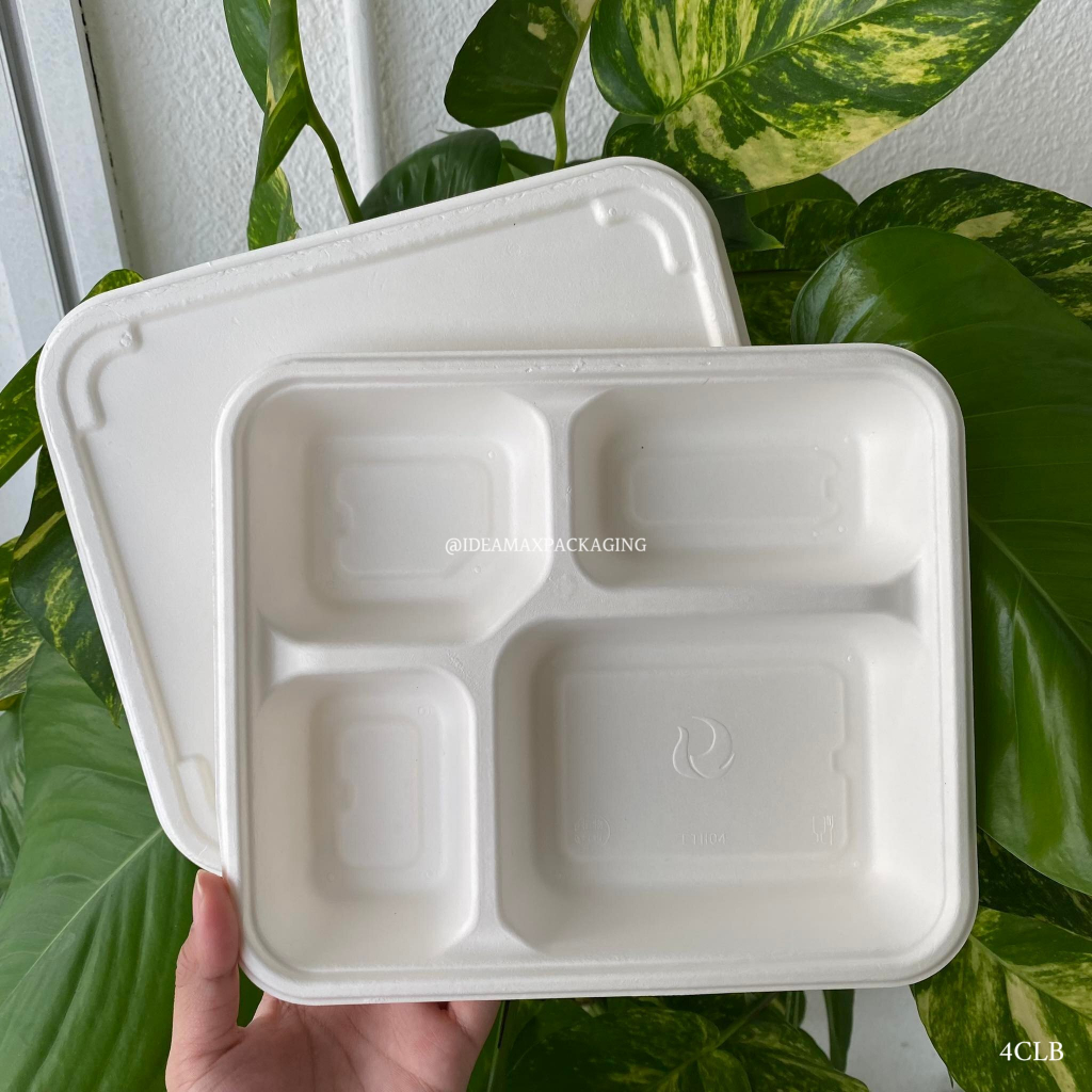 4 Compartment Sugarcane Biodegradable Lunch Box with cover (850ml ...