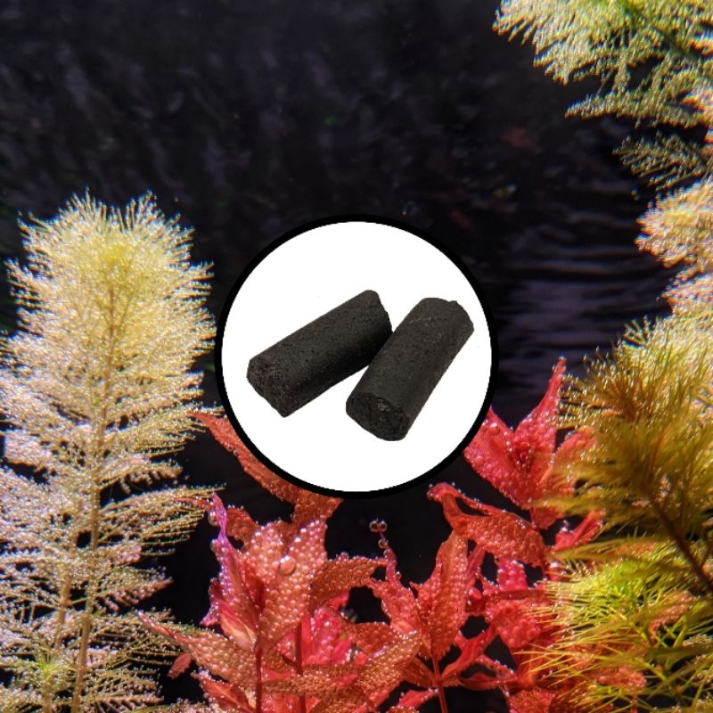 ARK - Root Tabs ( Aquatic Plant Based Fertilizer ) | Shopee Malaysia