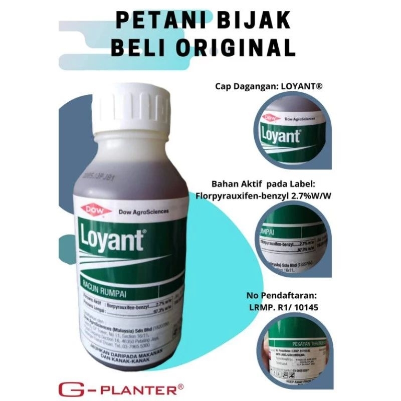 LOYANT RACUN RUMPAI 500ml | Shopee Malaysia