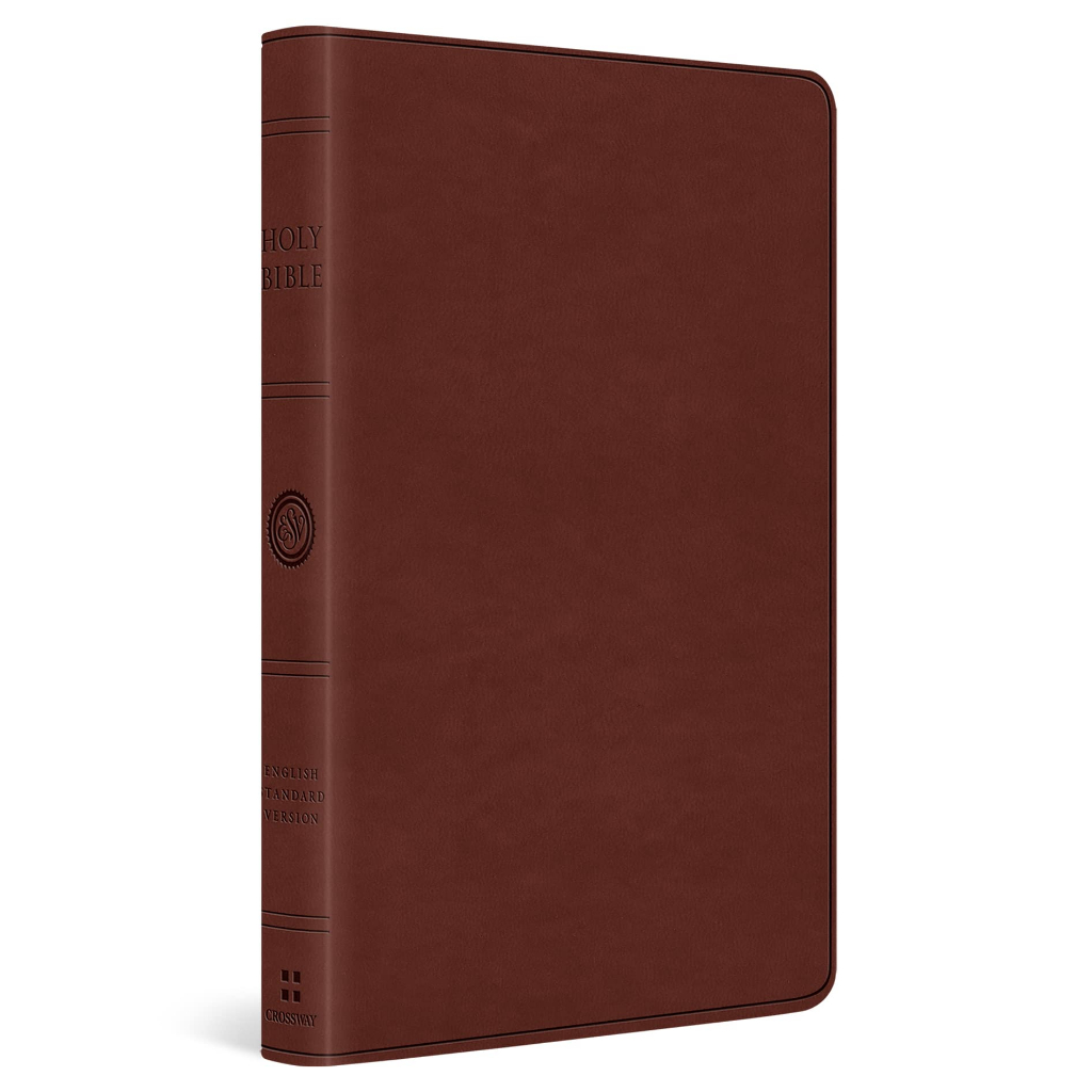 ESV Large Print Value Thinline Bible Imitation Leather Gladsounds