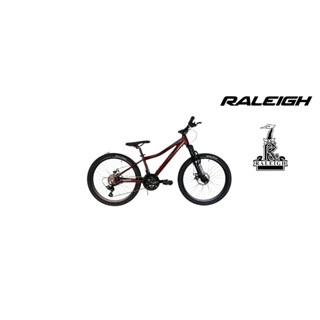 Raleigh 2025 storm cycle