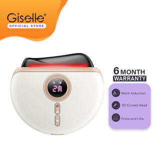 Giselle Handheld Wireless USB Port Speed Adjustable Milk Frother Bubbl