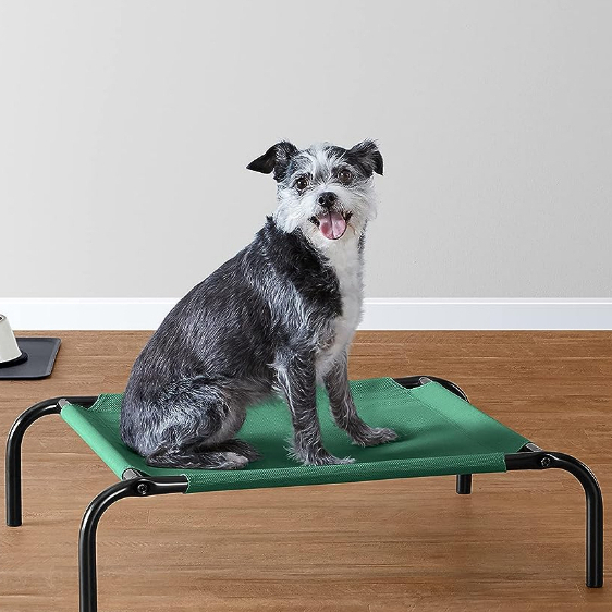 Amazon Basics Cooling Elevated Dog Bed with Metal Frame 70cm x 19cm x