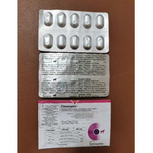 (READY STOCK)Clavaseptin Palatable 250mg tablet for dog(1 strip ...