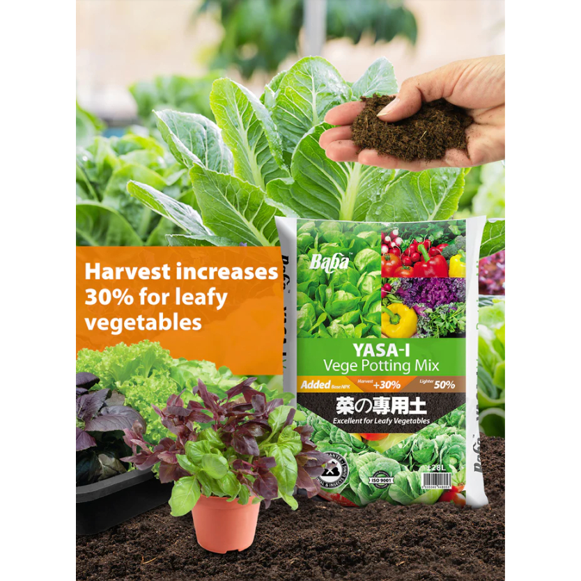 Baba Yasai Vege Soil (7L) Vegetable Leafy Fruit Soil Special Mix