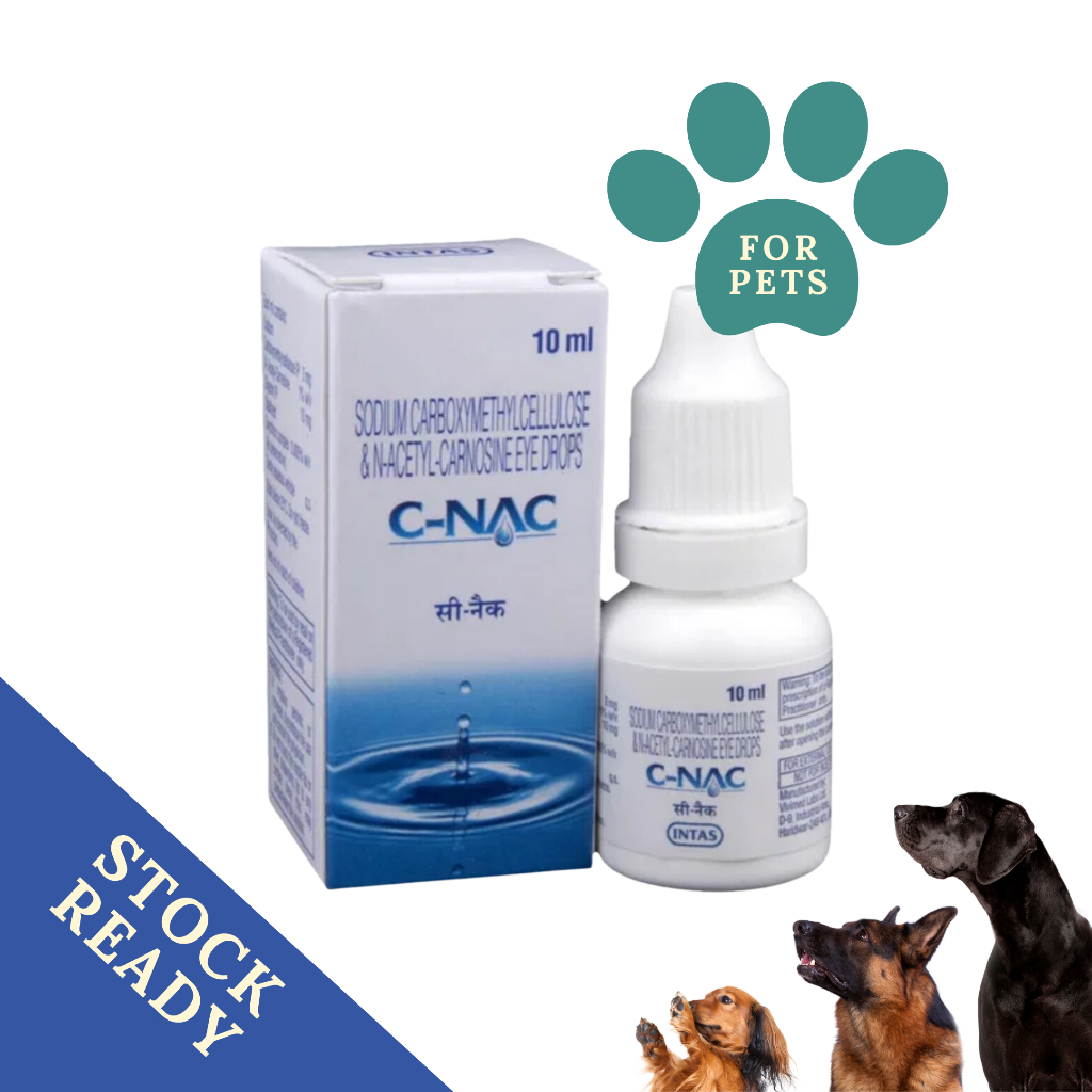 Nac eye drops for dogs best sale