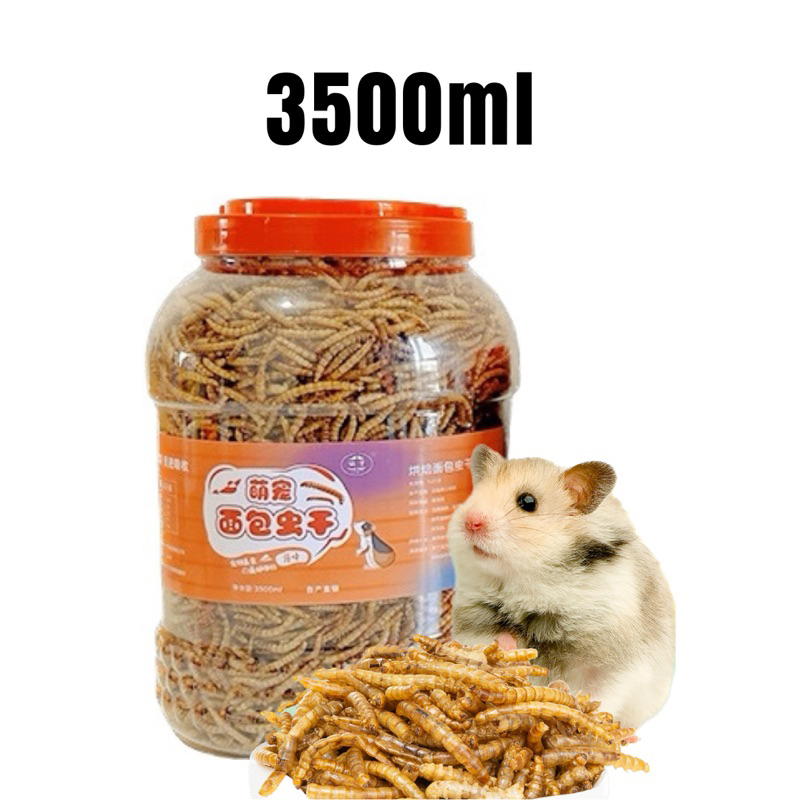 Dried Mealworm 2000ml 500ml Protein food Mealworm NonGMO Treats