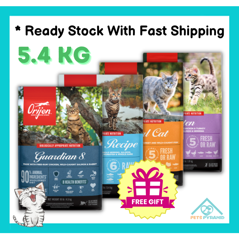 Orijen cat and kitten food 5.4 kg best sale