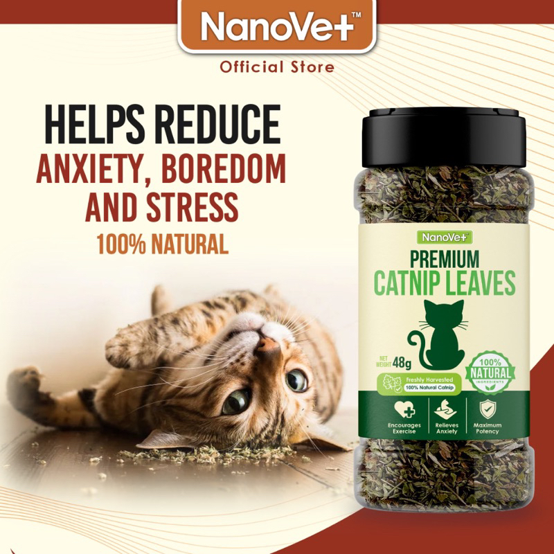 Most potent catnip best sale