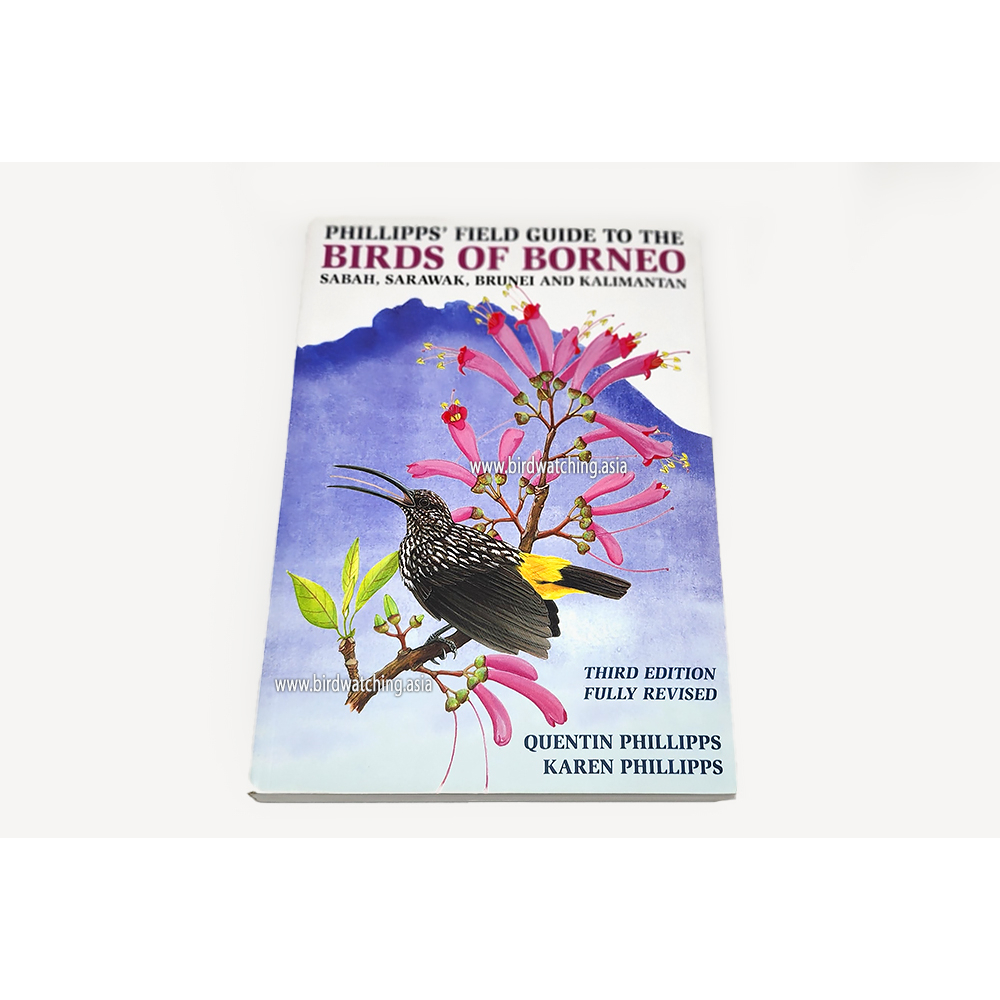 Birds of Borneo Field Guide Book Sabah Sarawak Brunei Kalimantan ...