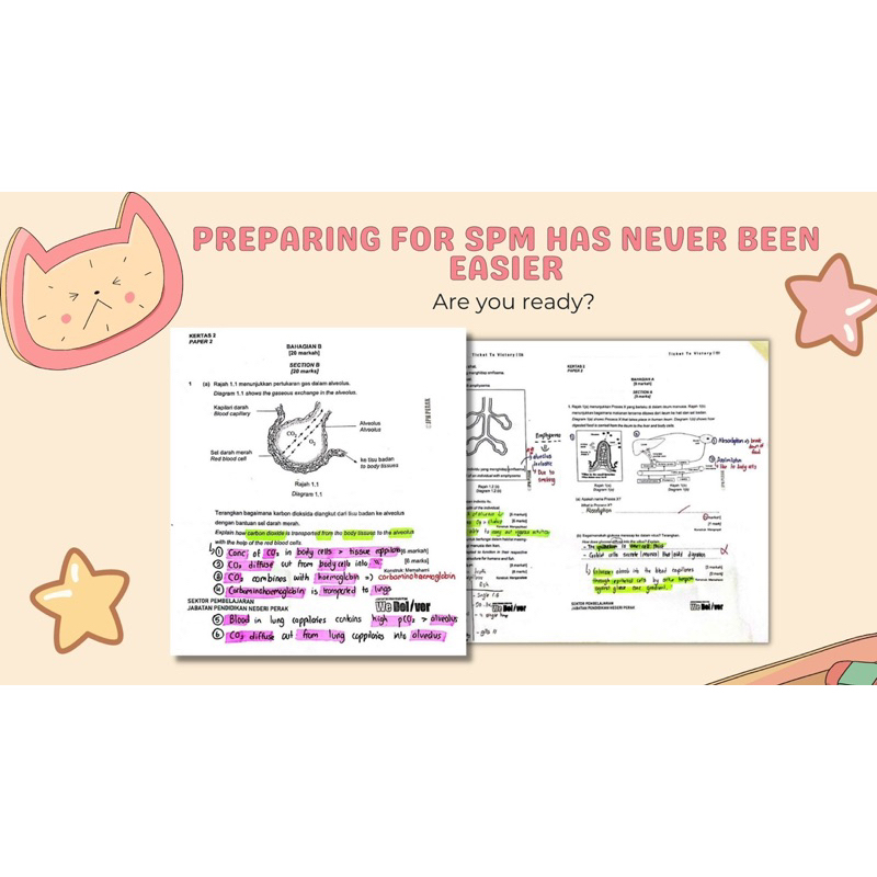 biology essay kssm