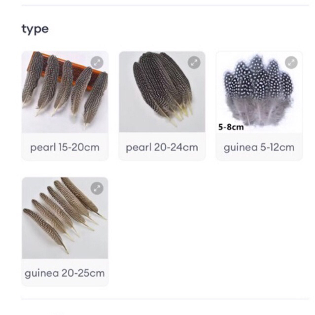 12 Pieces Guinea Hen Wing & Tail Quill Feathers For Fly Tying - Natural, 16-20cm Length