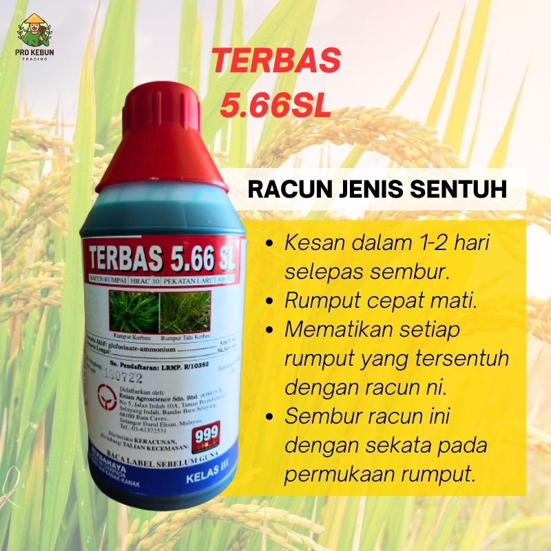 Terbas 5.66SL Racun Rumpai Racun Rumput Glufosinate-ammonium Racun ...